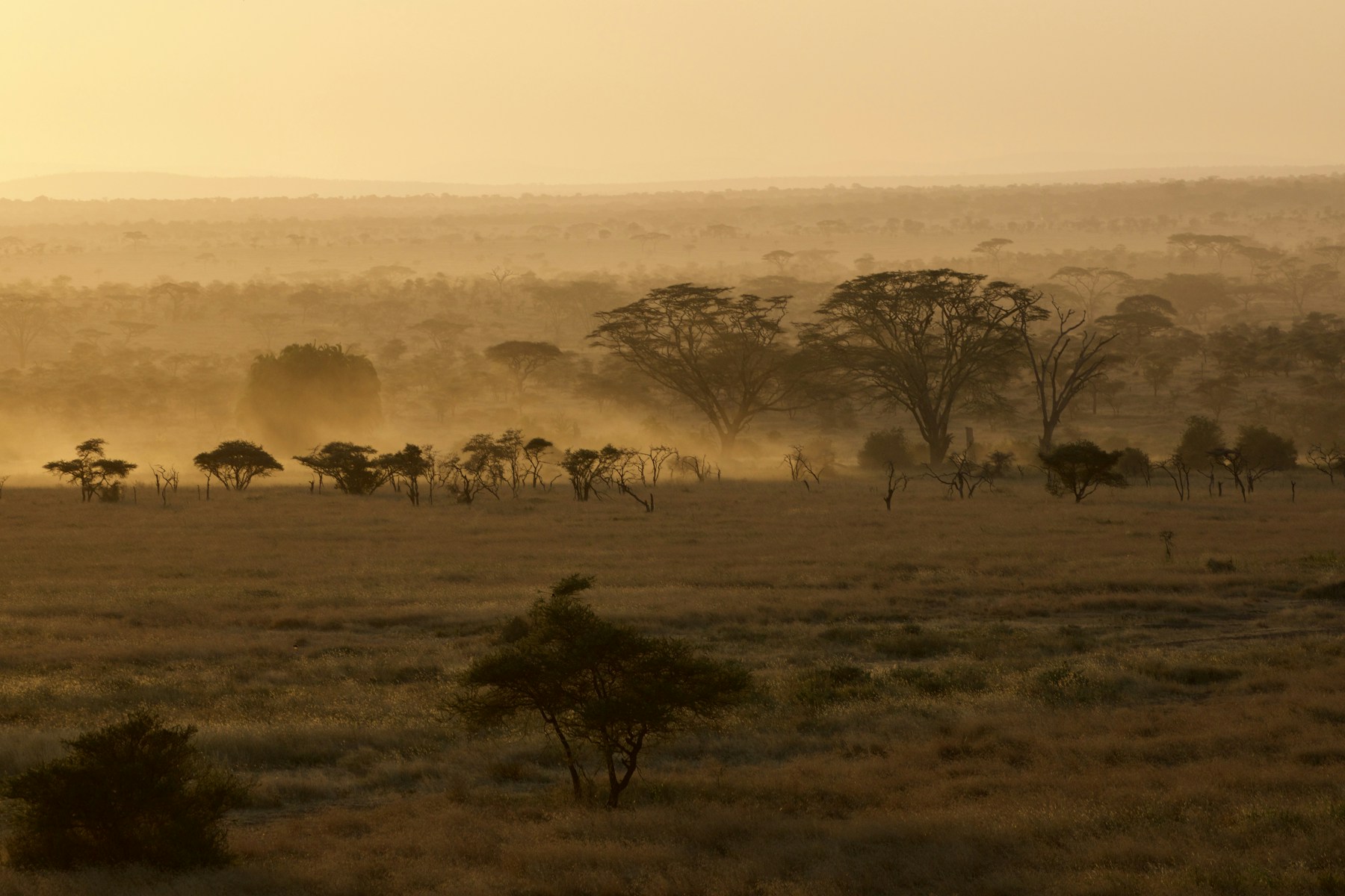 Botswana