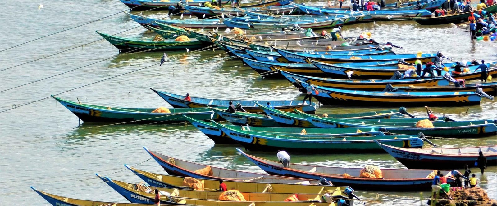 A Necessary Pause on Lake Kivu